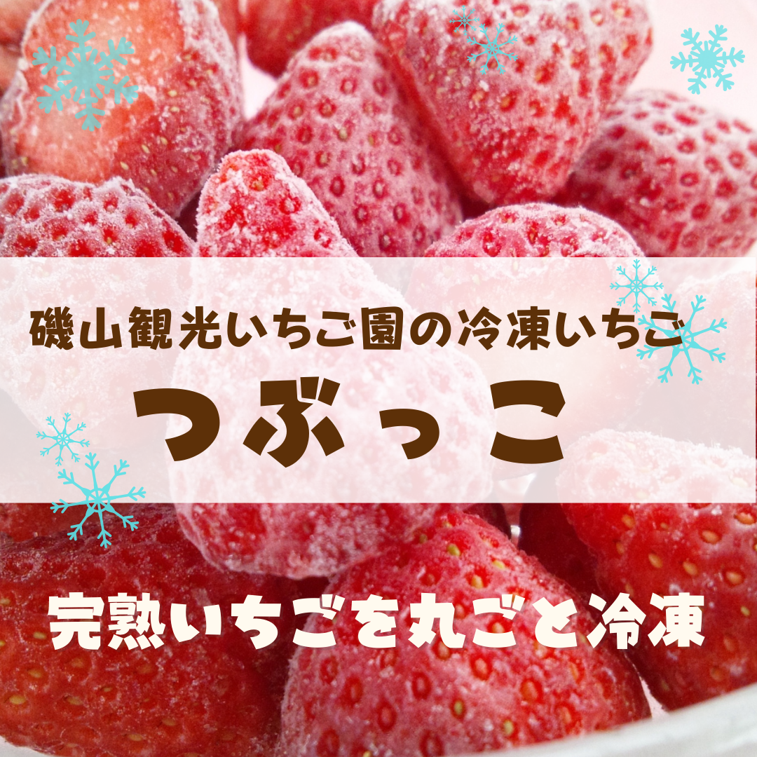 冷凍いちご つぶっこ 1kg | 磯山観光いちご園
